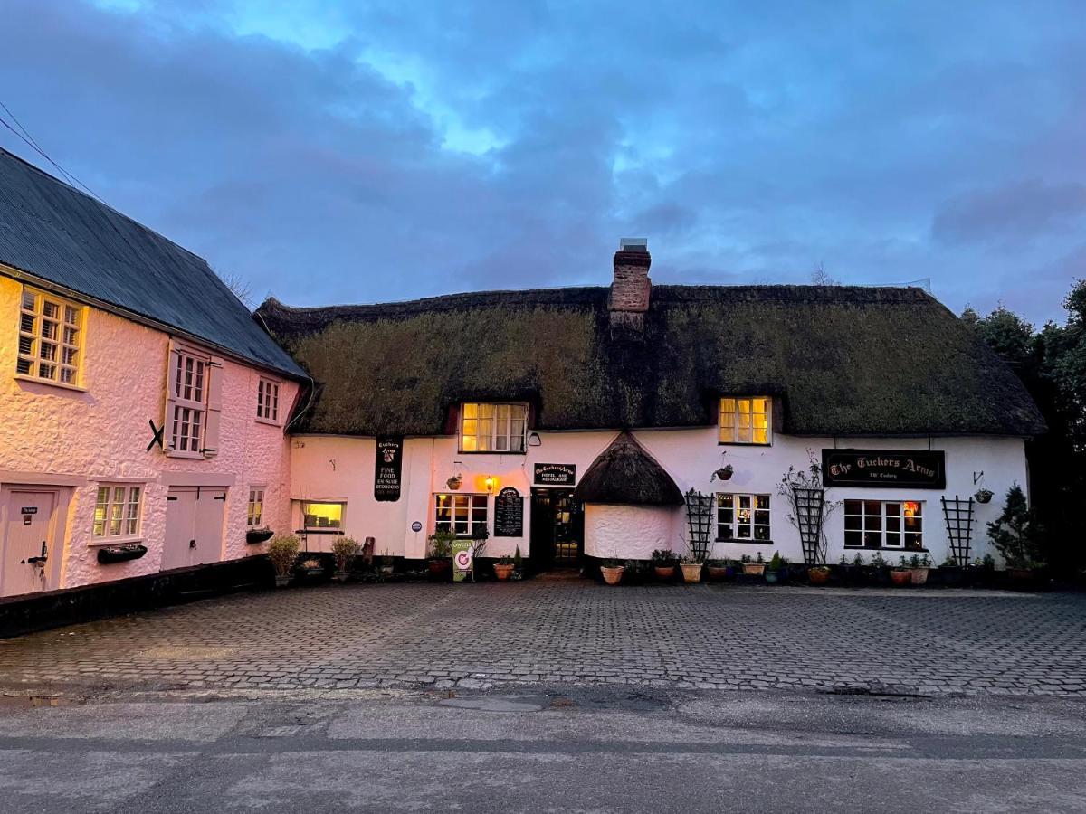 The Tuckers Arms Bed & Breakfast Axminster Exterior photo